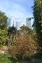 sydney-sep-2013 115
